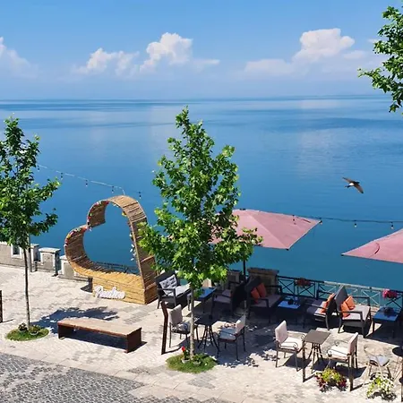 Piccolino شكودر