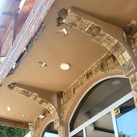 فندق Piccolino *